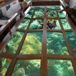 Glass bottom boat