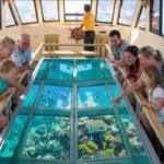 Glass bottom boat