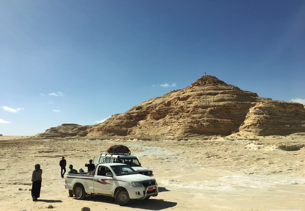 Egypt-Camel-Race-2017 Taxi in dahab - Image 1