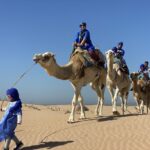 Quad bike and camel riding