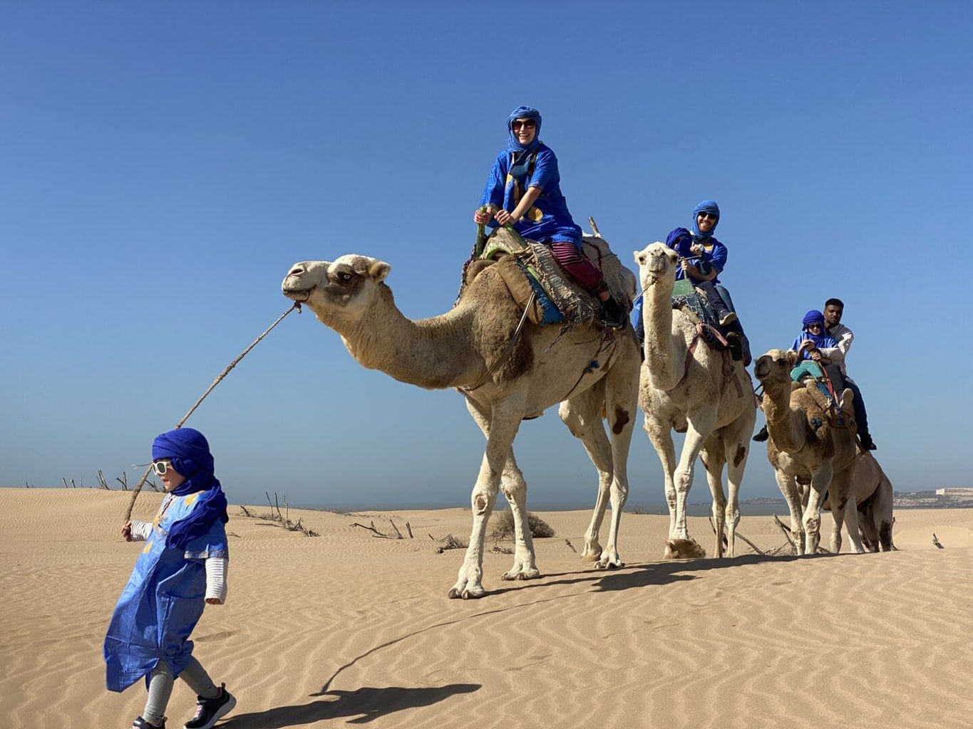 camel-2-1440x1080 Quad bike and camel riding - immagine 1