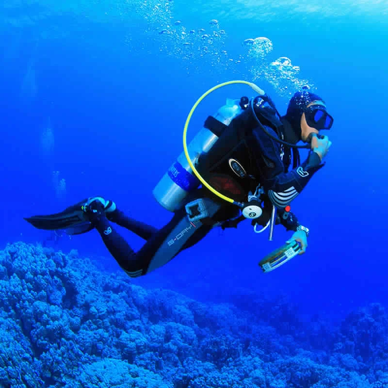 diving_pack1 Diving from the beach - Image 1