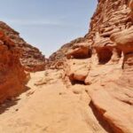 Super safari to white canyon, ain hudra oasis, canyon messakarr , mushroom rock
