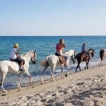 Horse riding on the beach